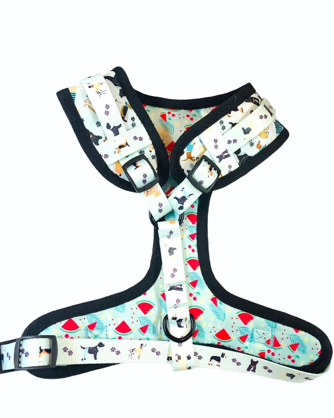 Adjustable Harness - Dapper Doggy