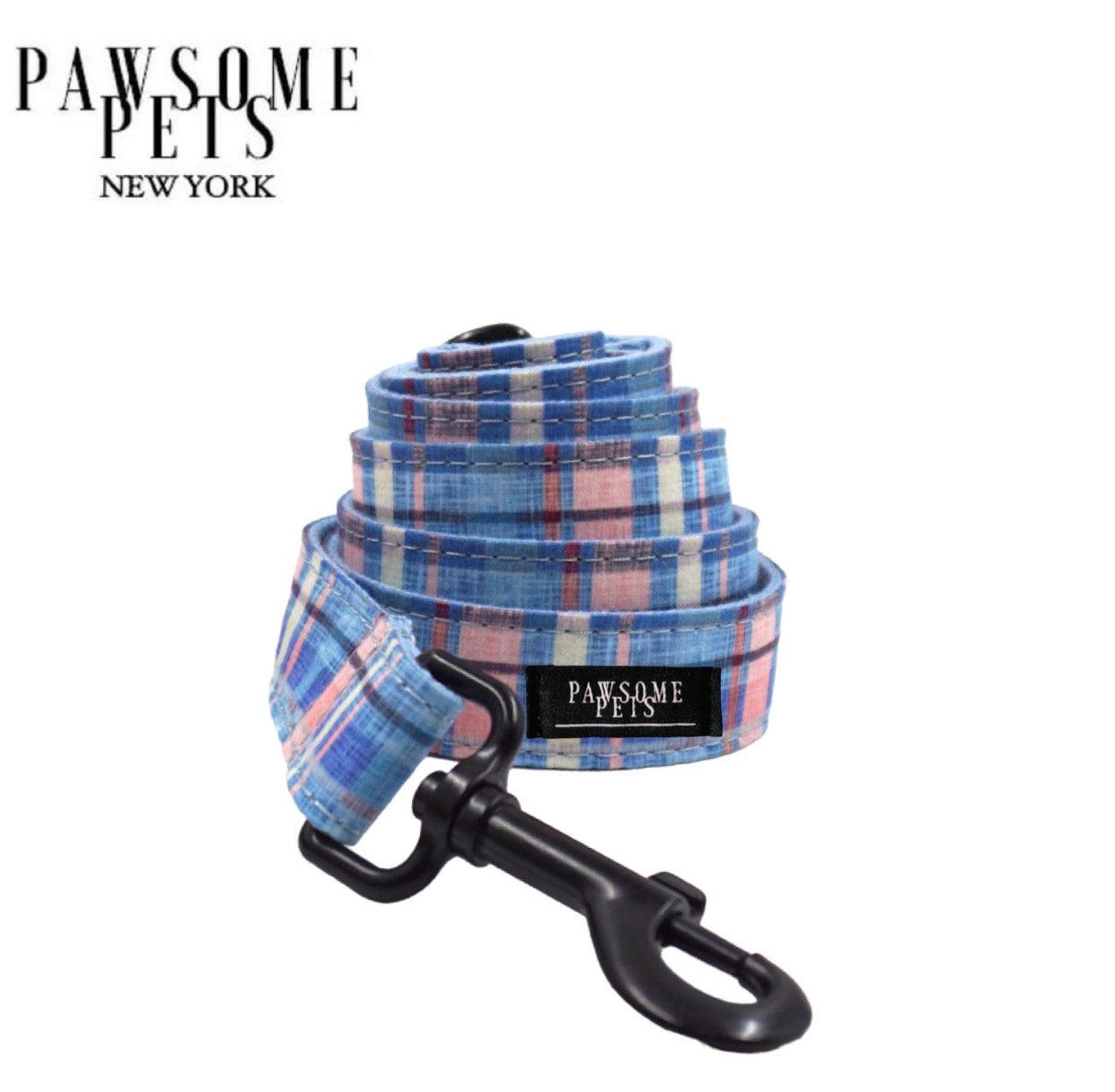 Leash - Blue Stripe