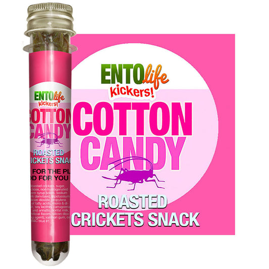 Mini-Kickers Set: Sweet Flavored Roasted Cricket Snacks