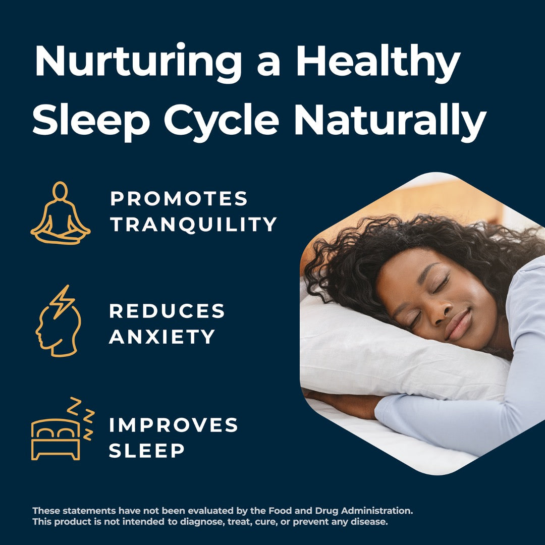 Slumber Shots - Sugar Free - Sleep Aid Gummies | 12-Pack, Mango Flavor